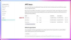 chatgpt api key 要钱吗ChatGPT API是什么？